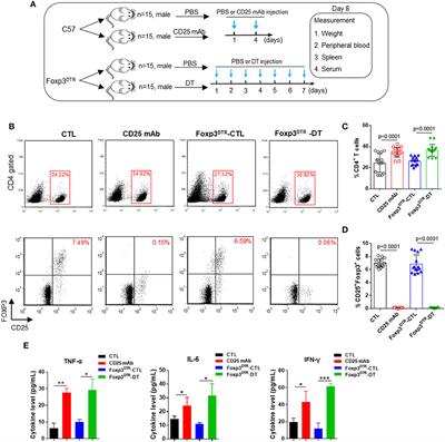 Frontiers | Serum MicroRNA Profiles Serve As Novel Biomarkers For ...